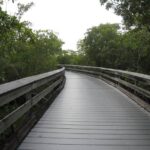 choices-path