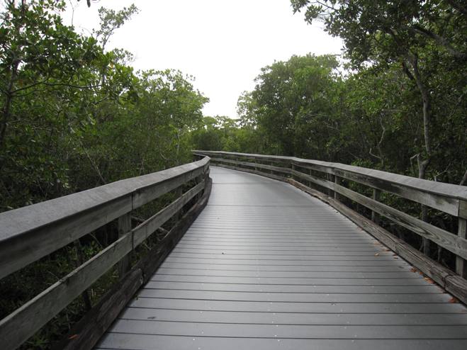 choices-path
