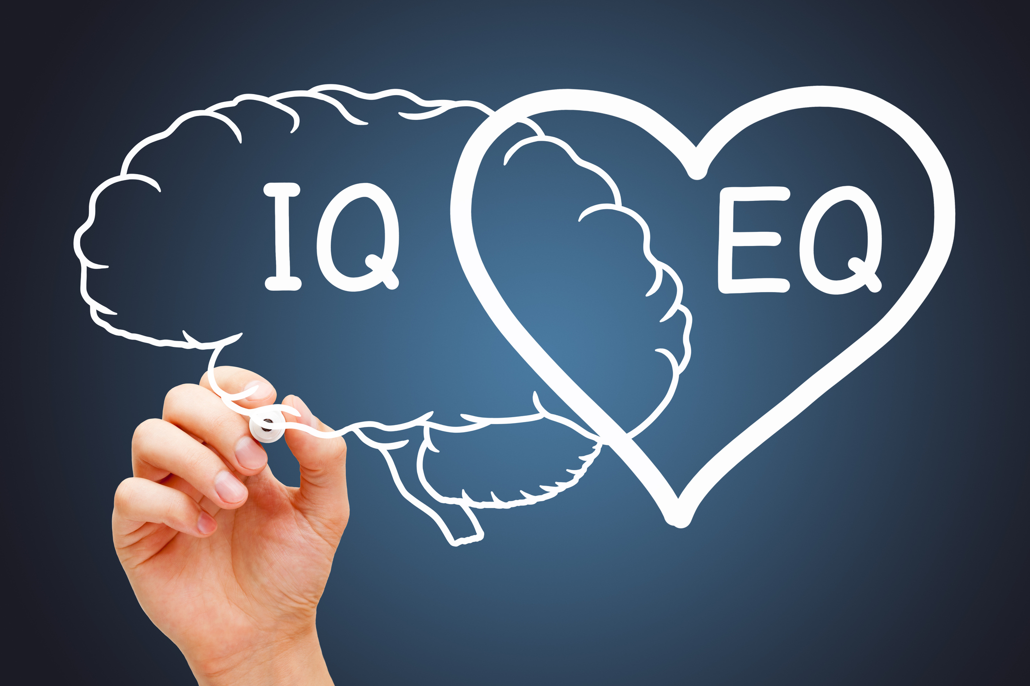 Hand drawing a heart and brain concept about the EQ emotional intelligence and IQ intelligence quotient.