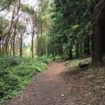 Path to Growth