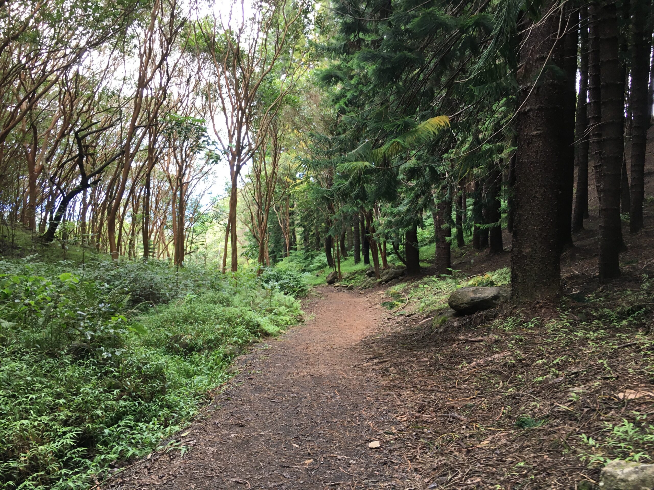 Path to Growth